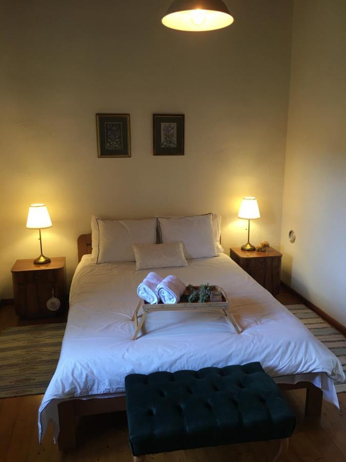 Villa House Dream