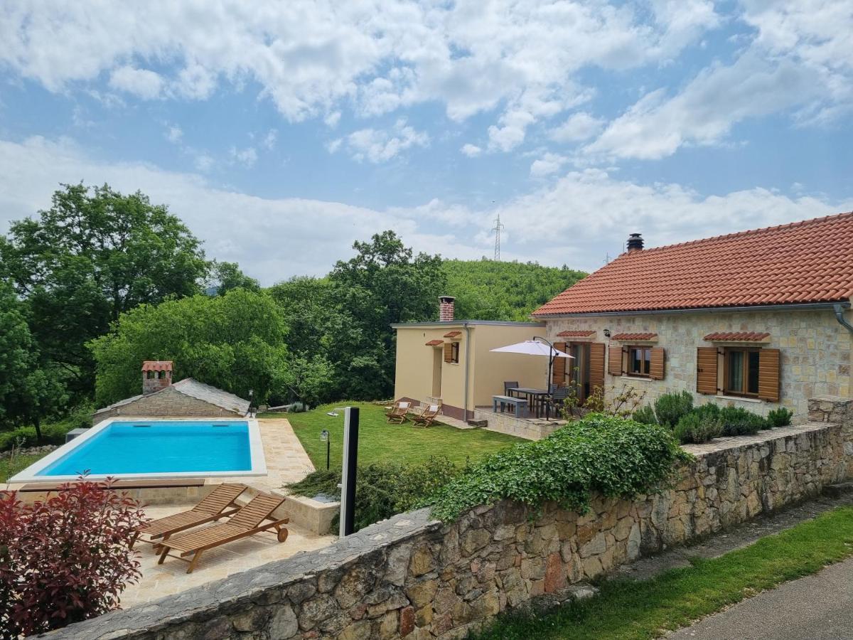 House Dream *