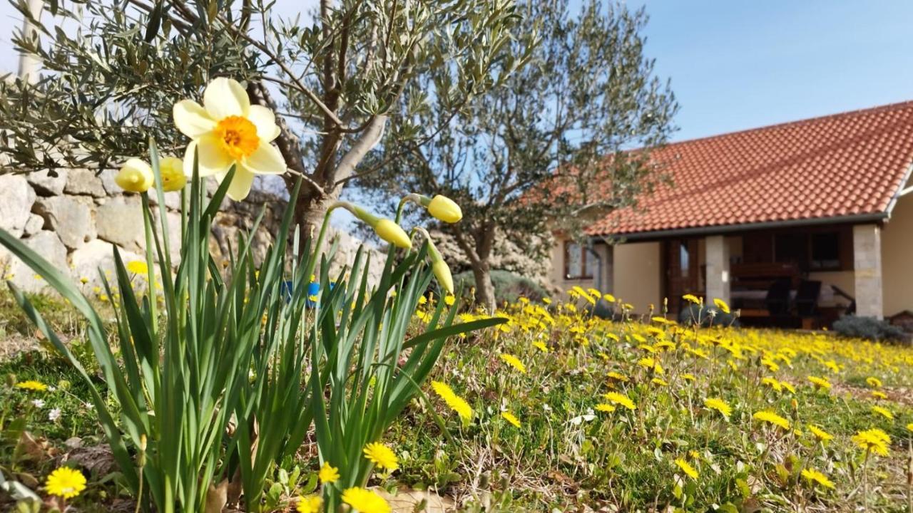 House Dream Villa Obrovac
