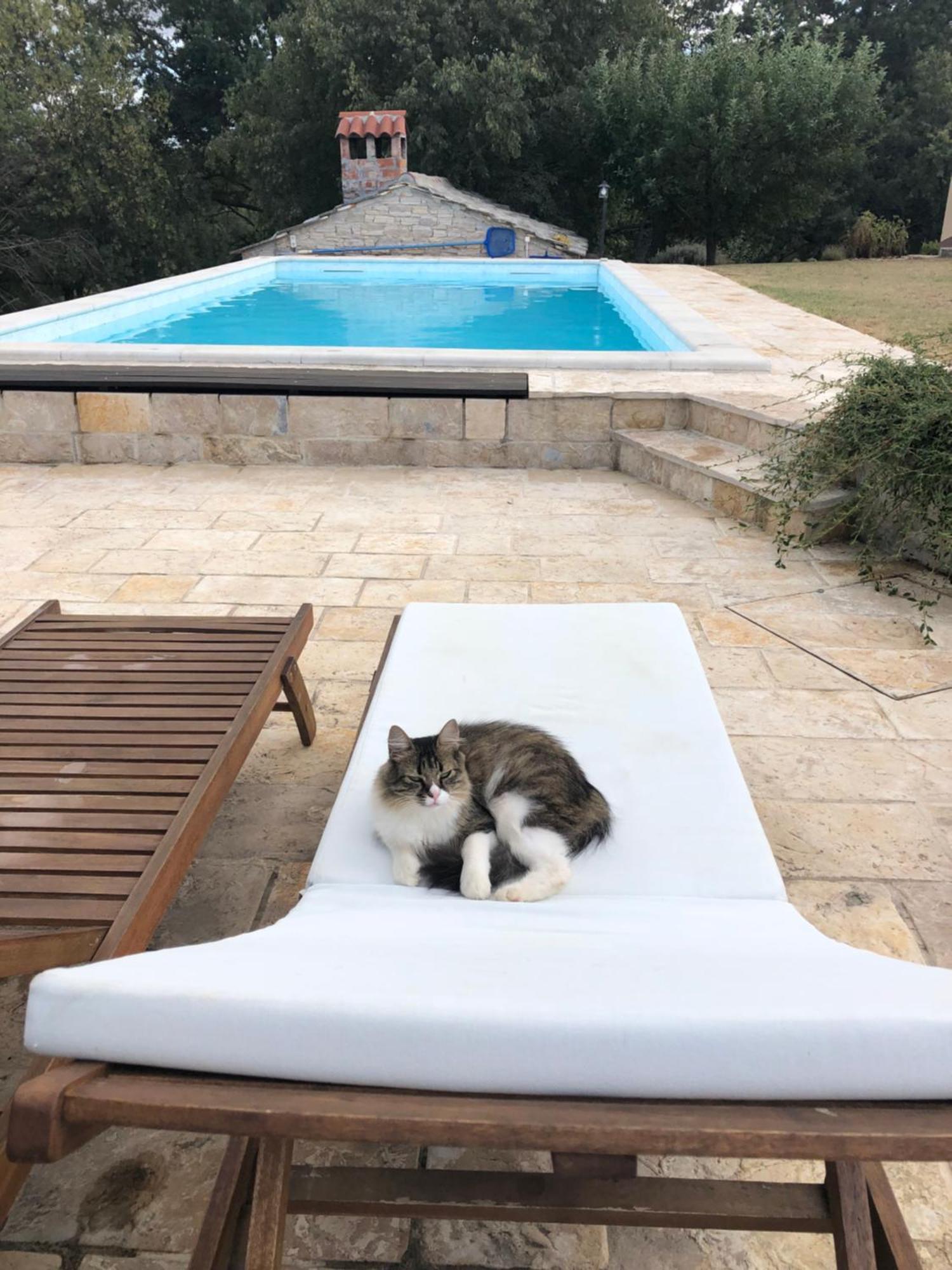Villa House Dream